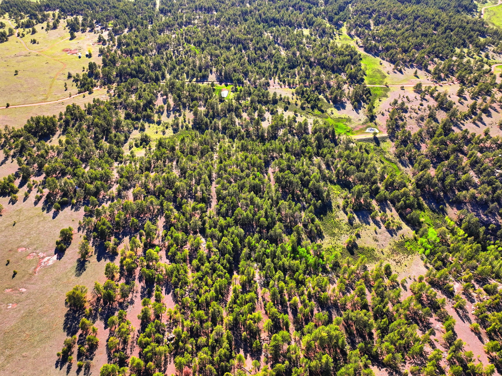 DJI_0679