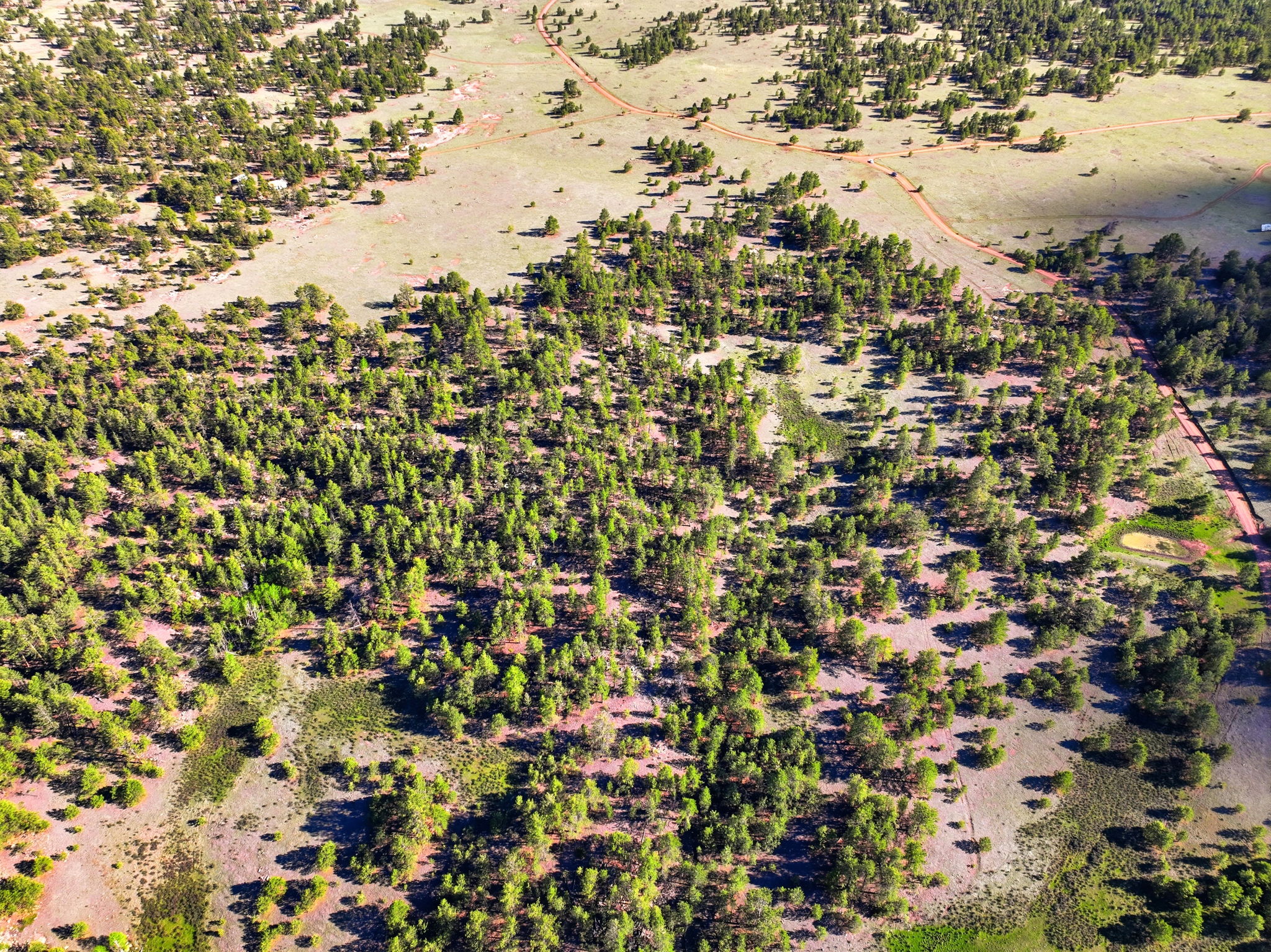 DJI_0684