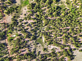 DJI_0669