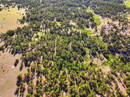 DJI_0679