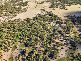 DJI_0684
