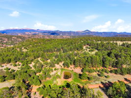 DJI_0696
