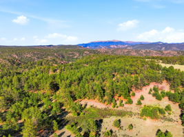 DJI_0701