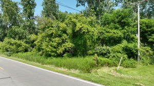  Photo 0