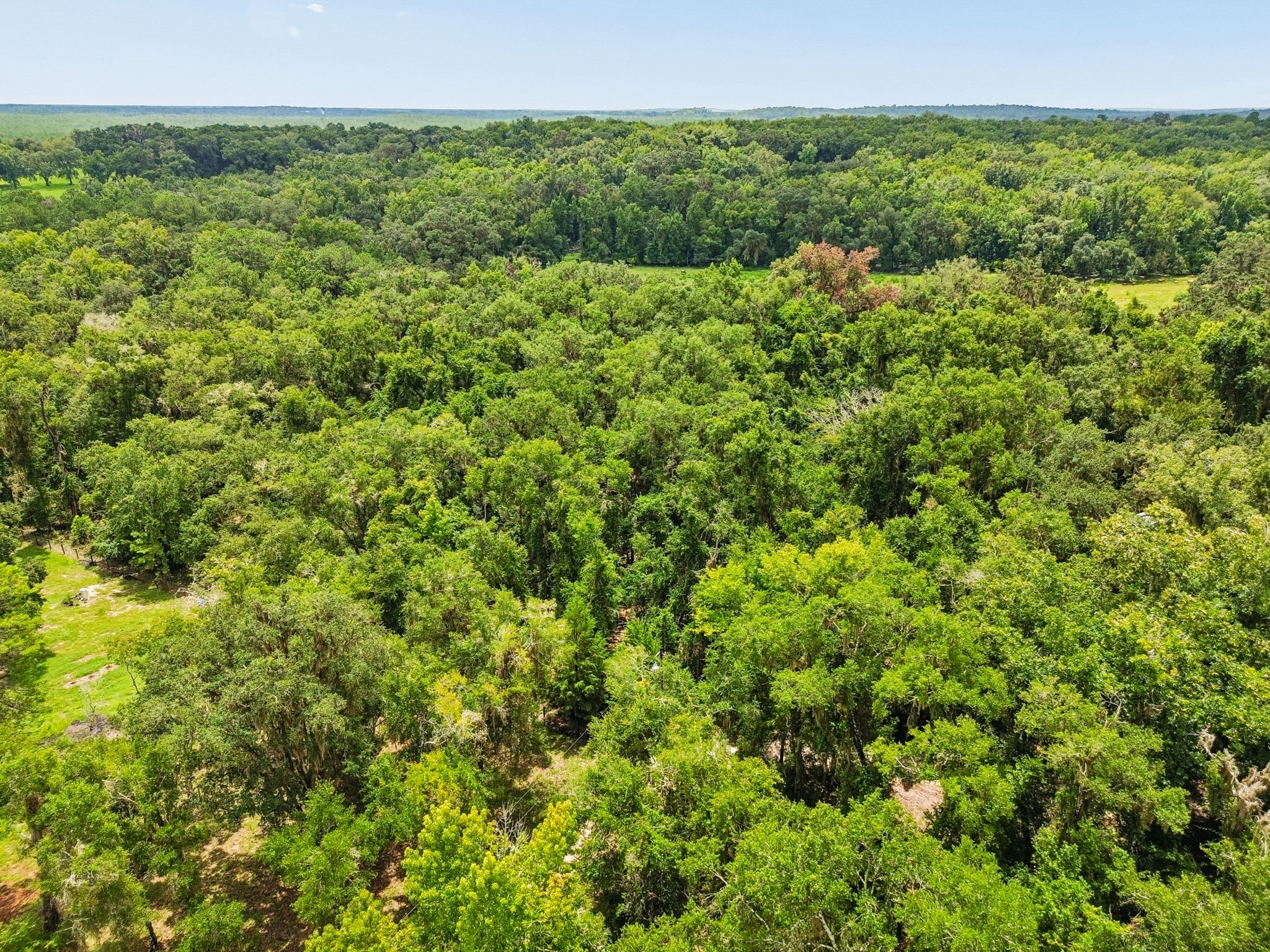 DJI_0256