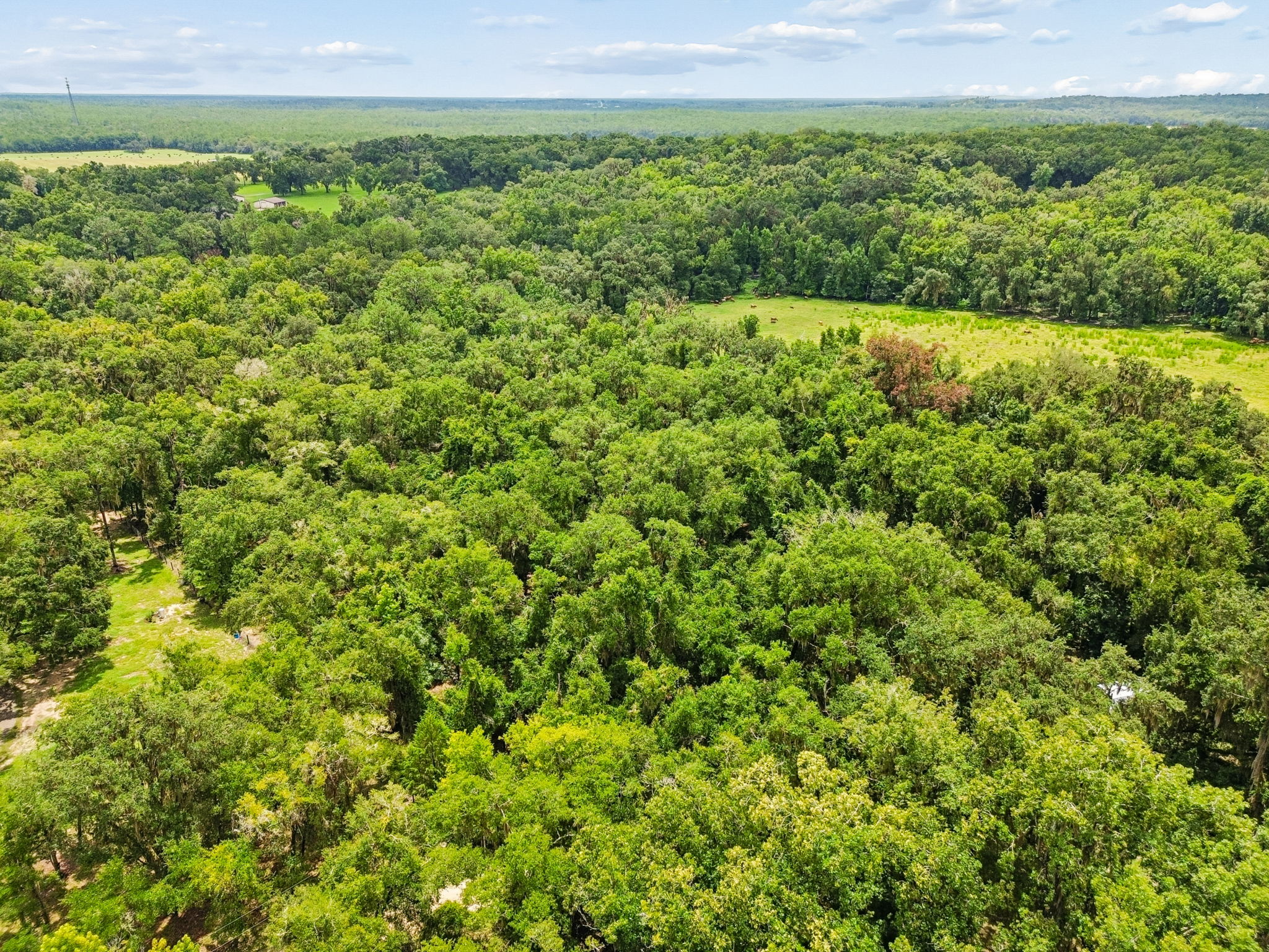 DJI_0259