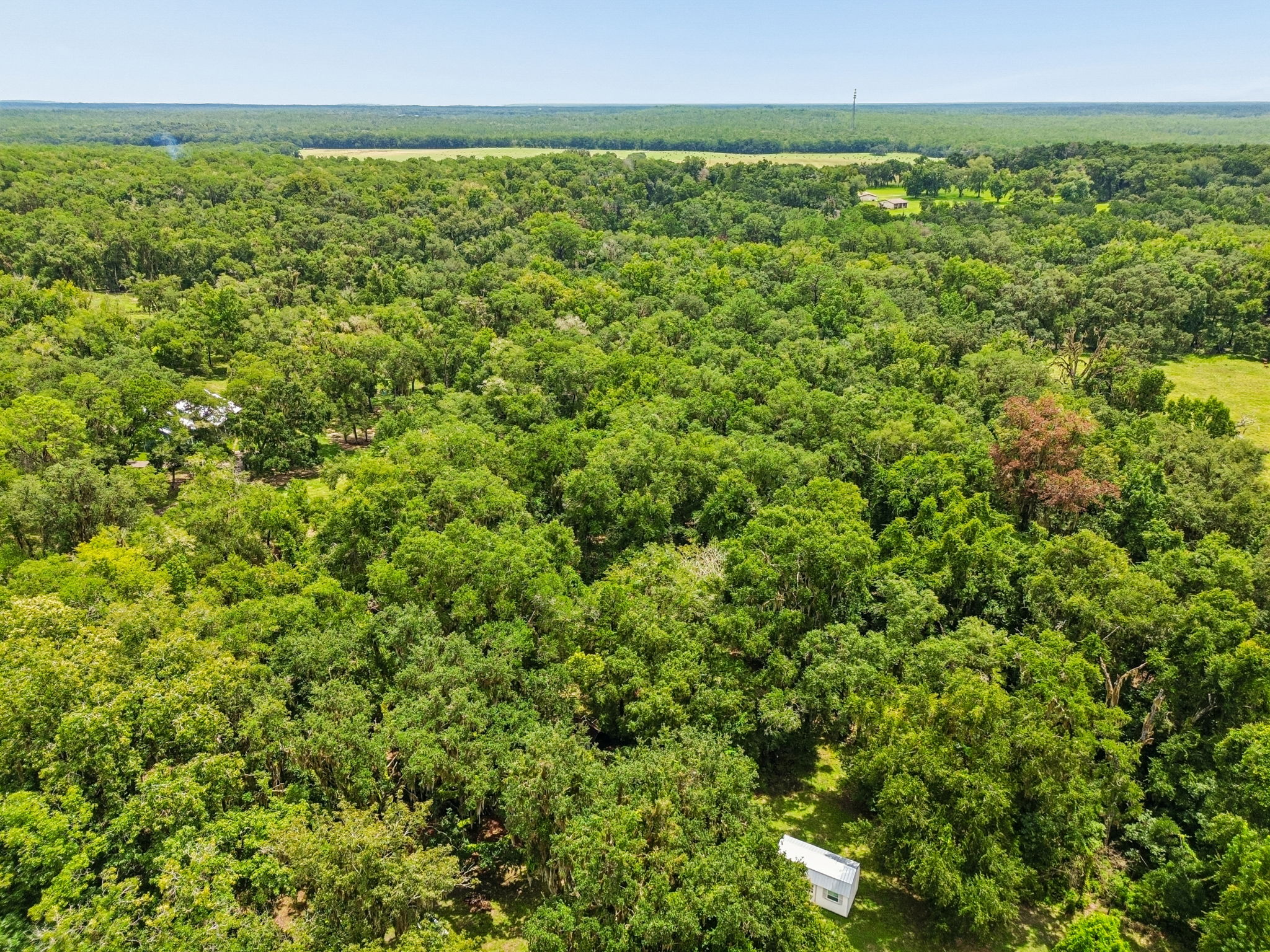 DJI_0265