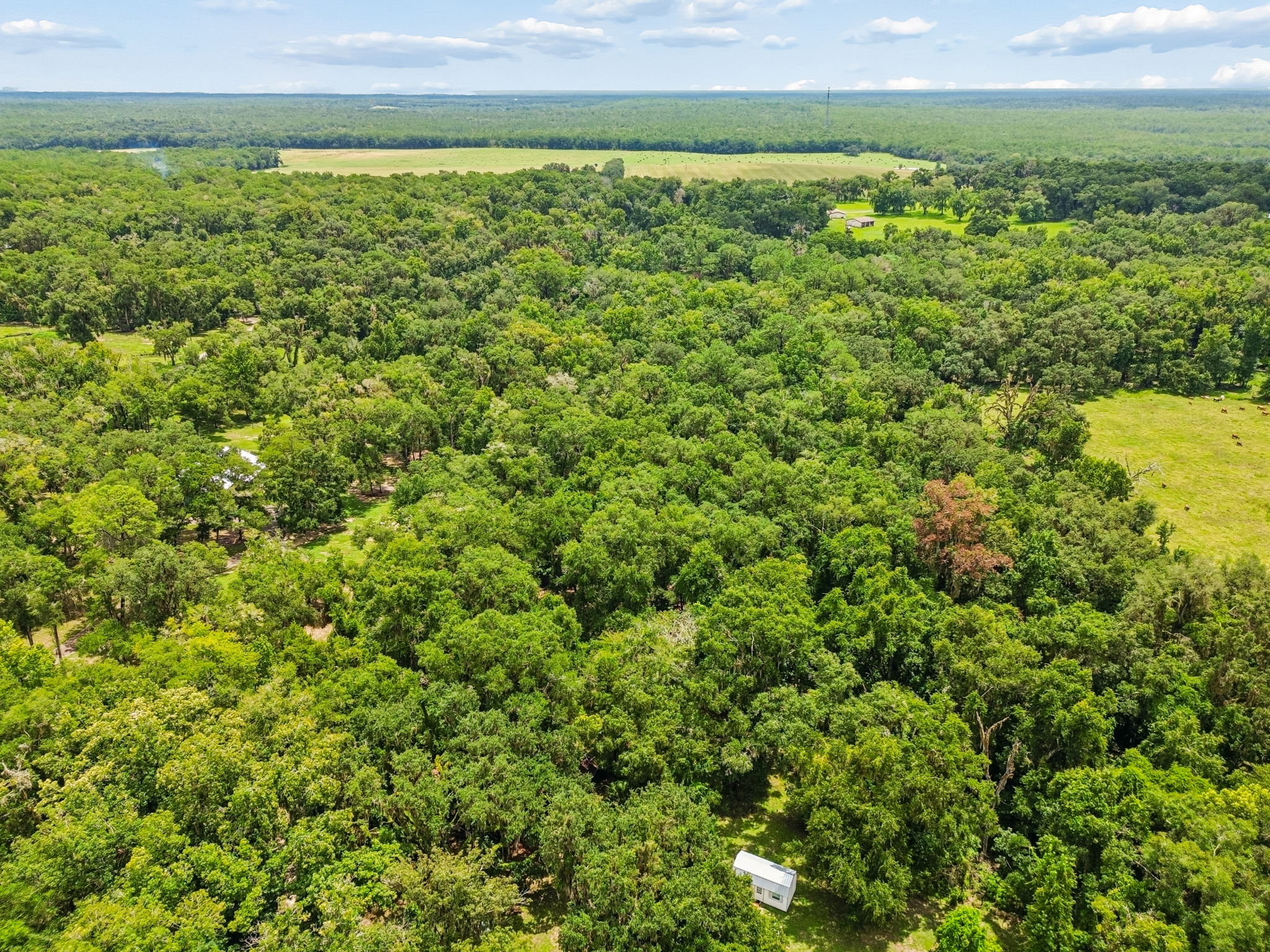 DJI_0268