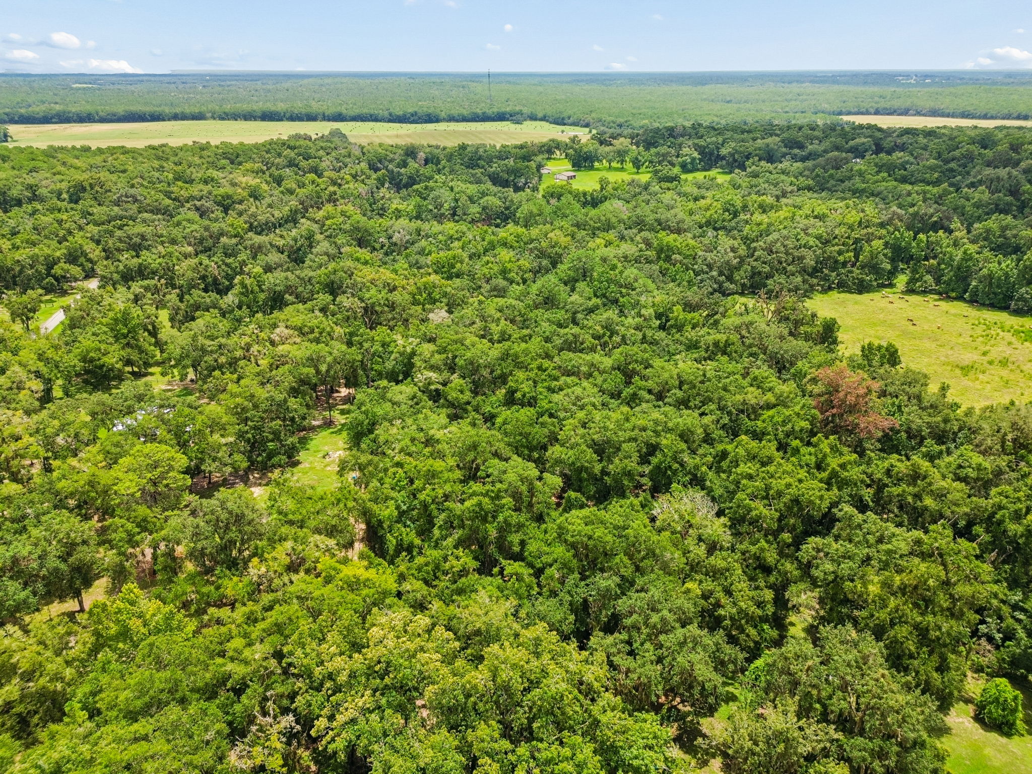 DJI_0271
