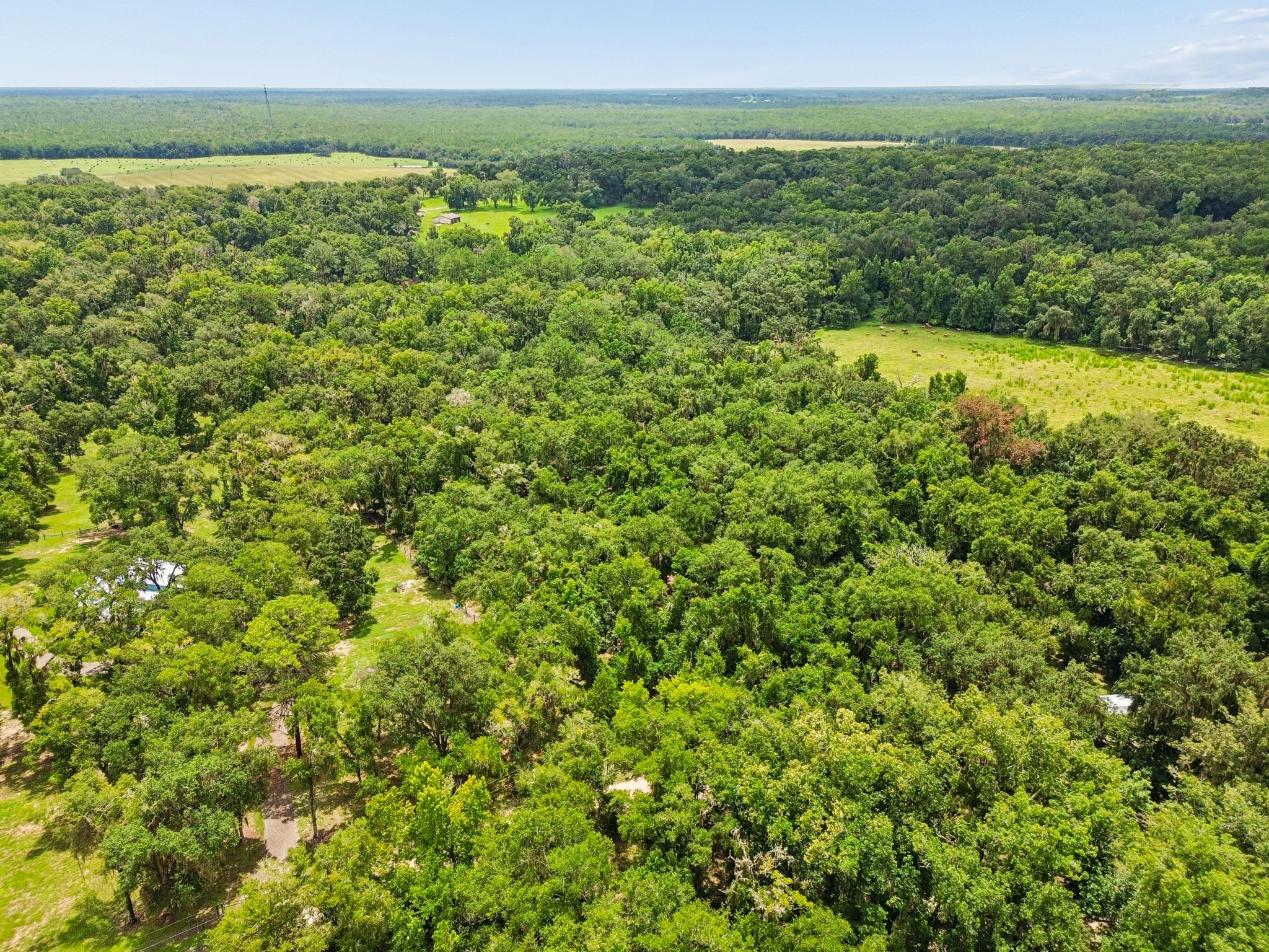DJI_0274