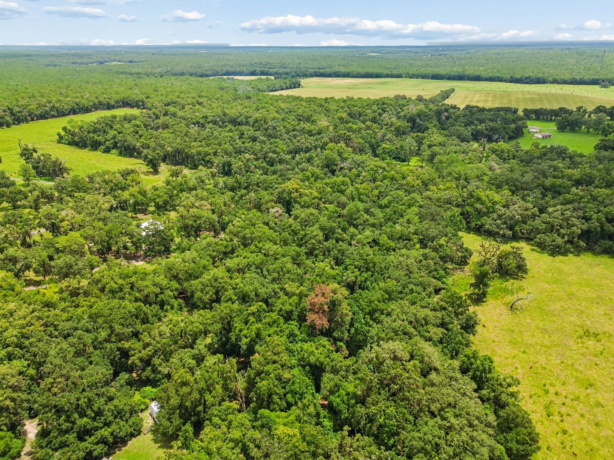 DJI_0286