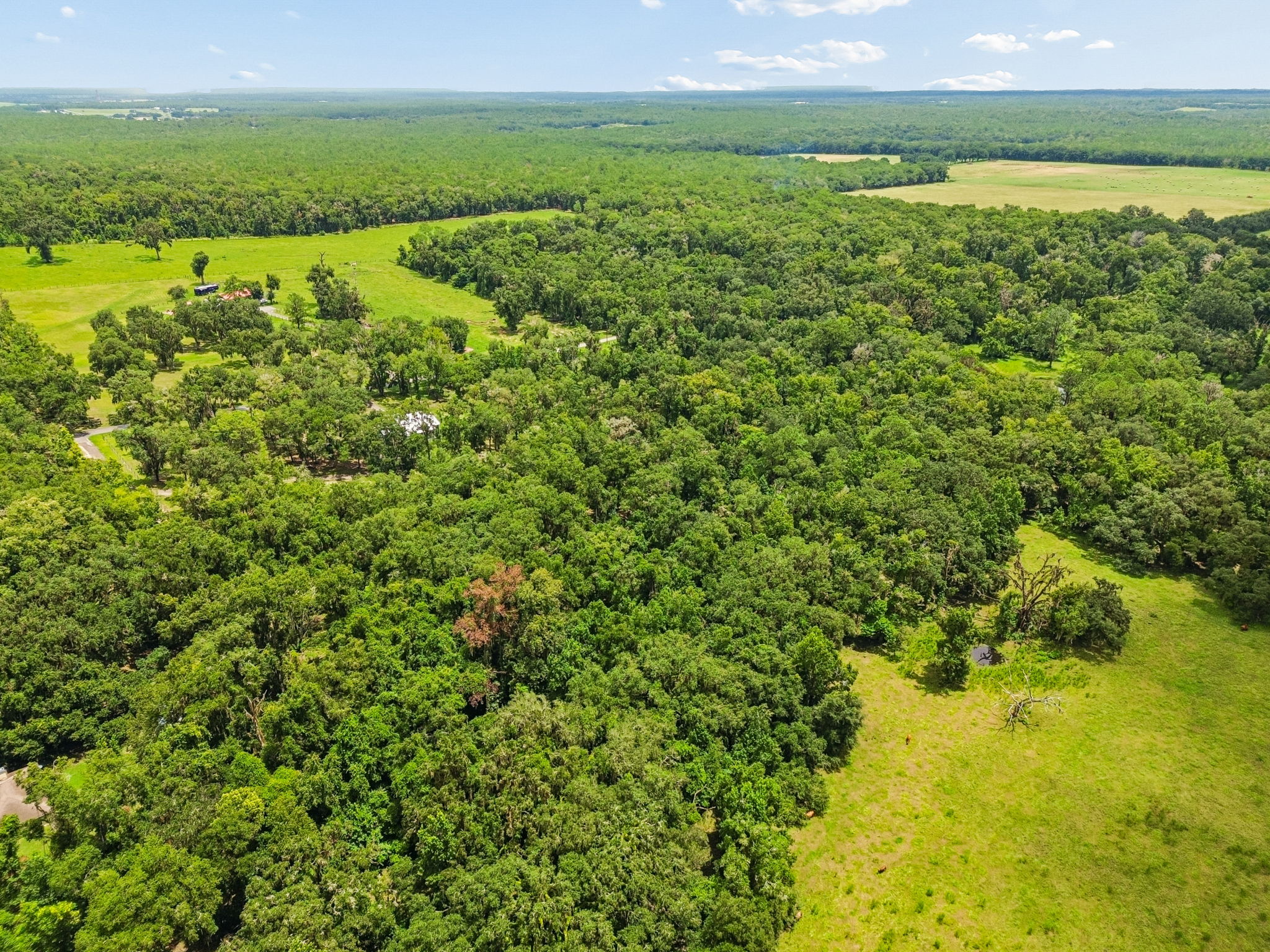 DJI_0289