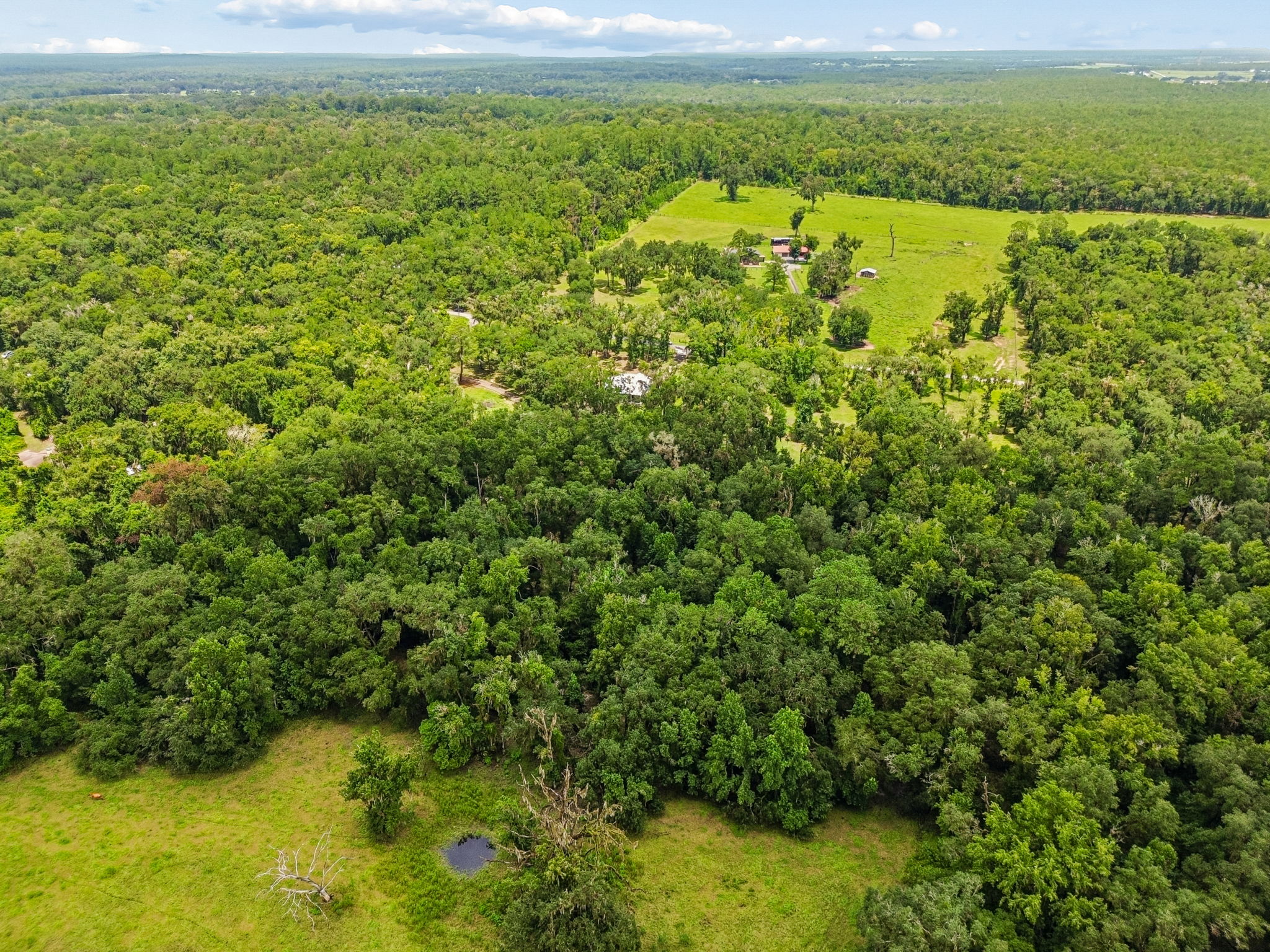 DJI_0295