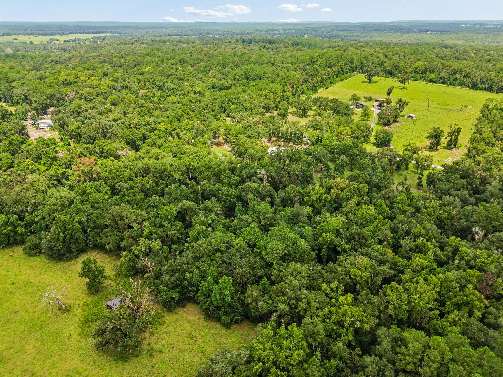 DJI_0298
