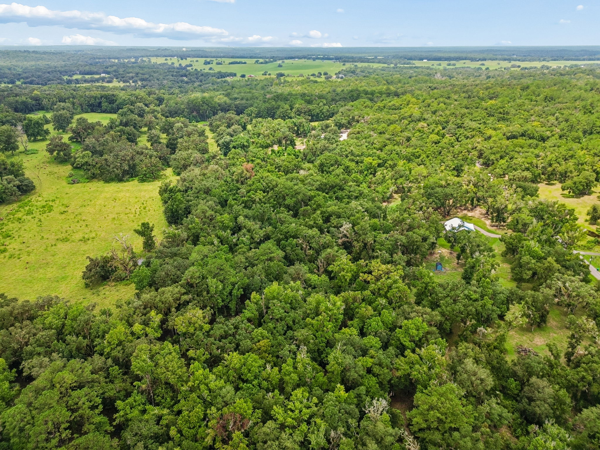DJI_0304