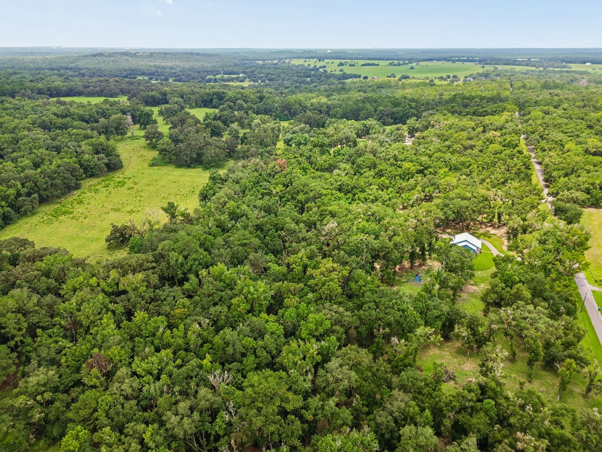 DJI_0307
