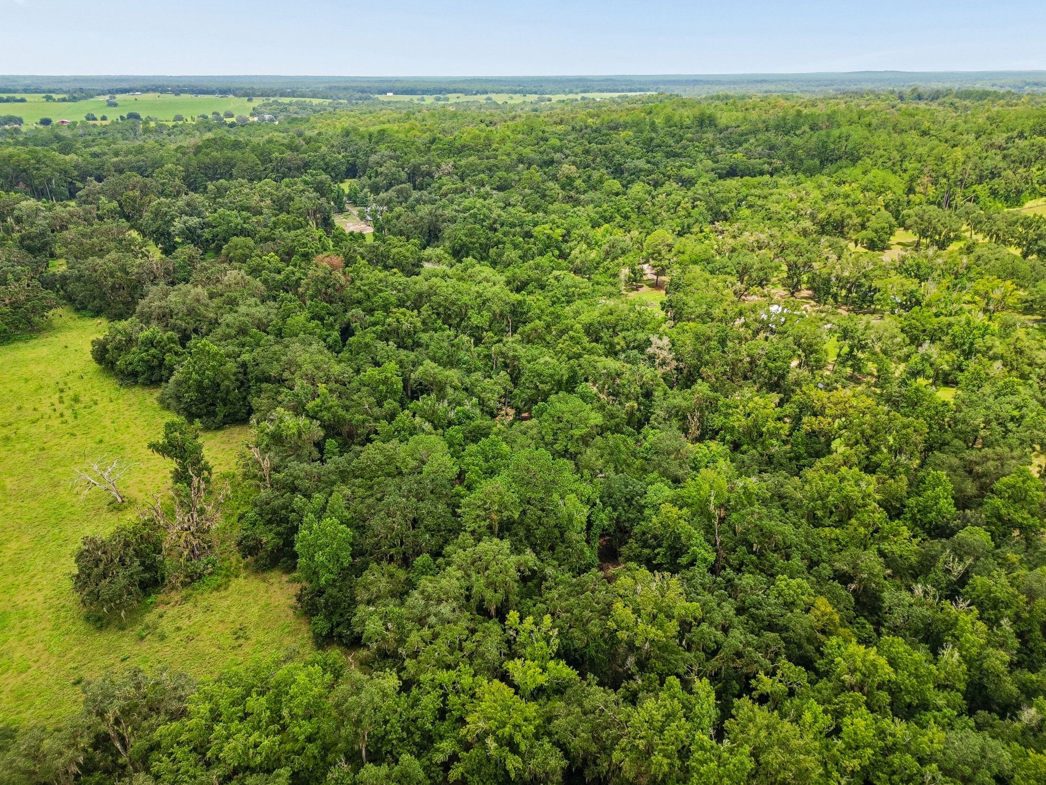 DJI_0316