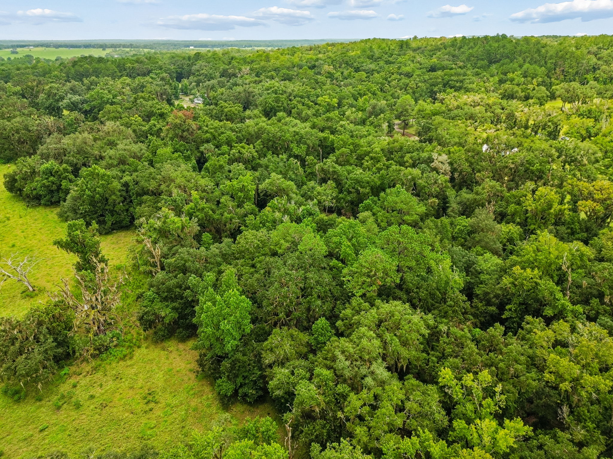 DJI_0319