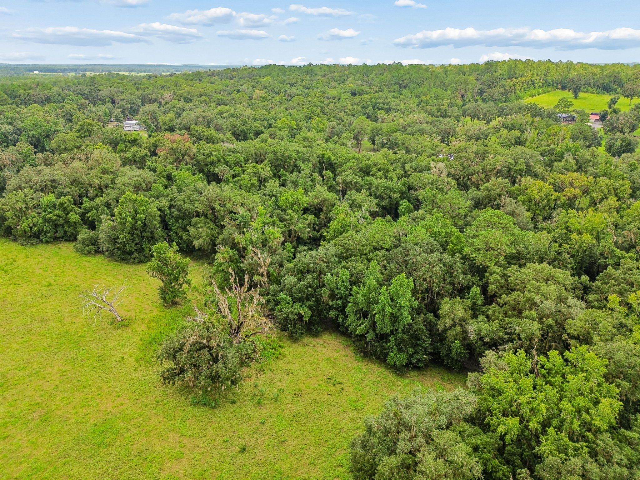 DJI_0328