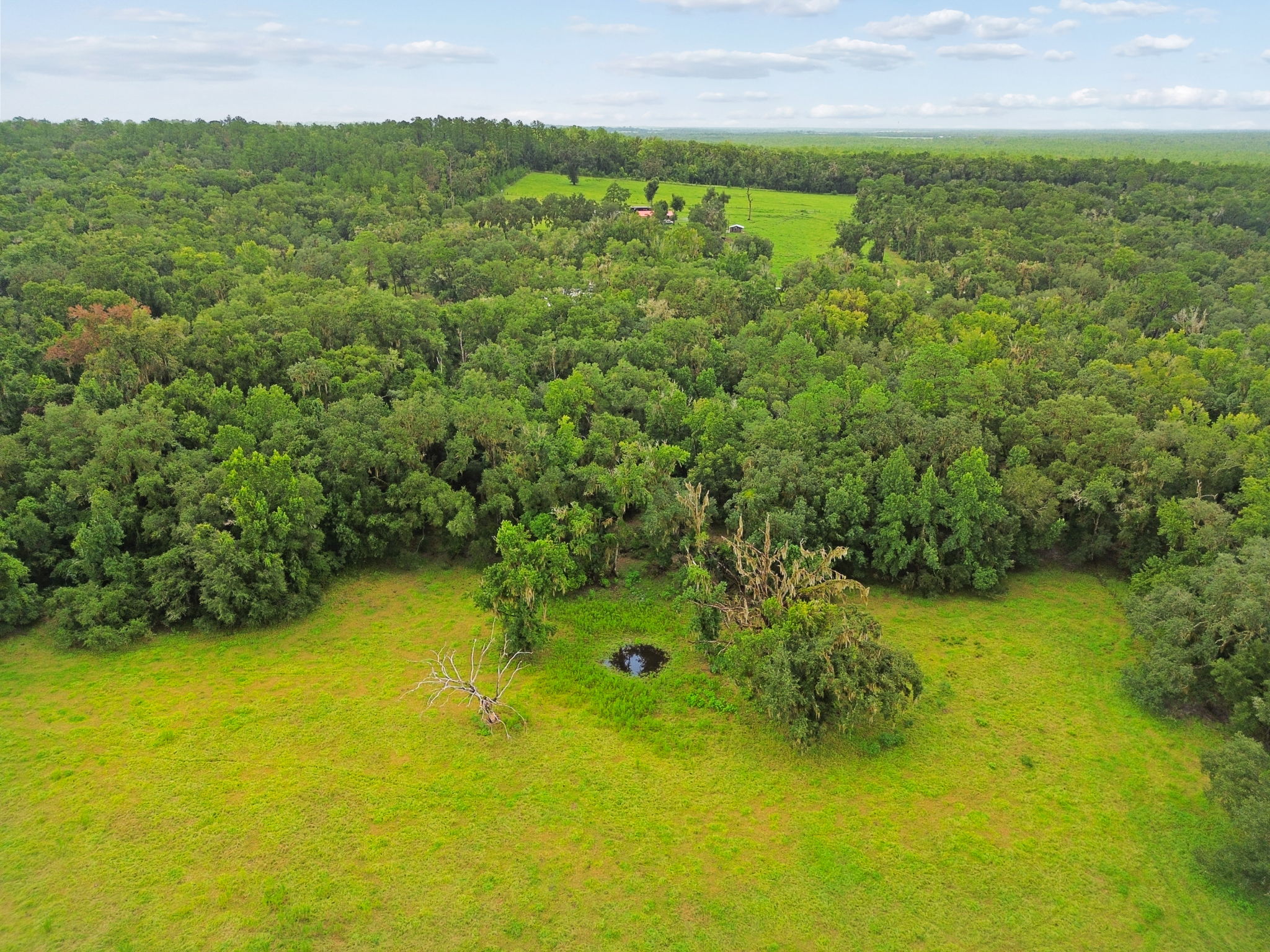DJI_0333