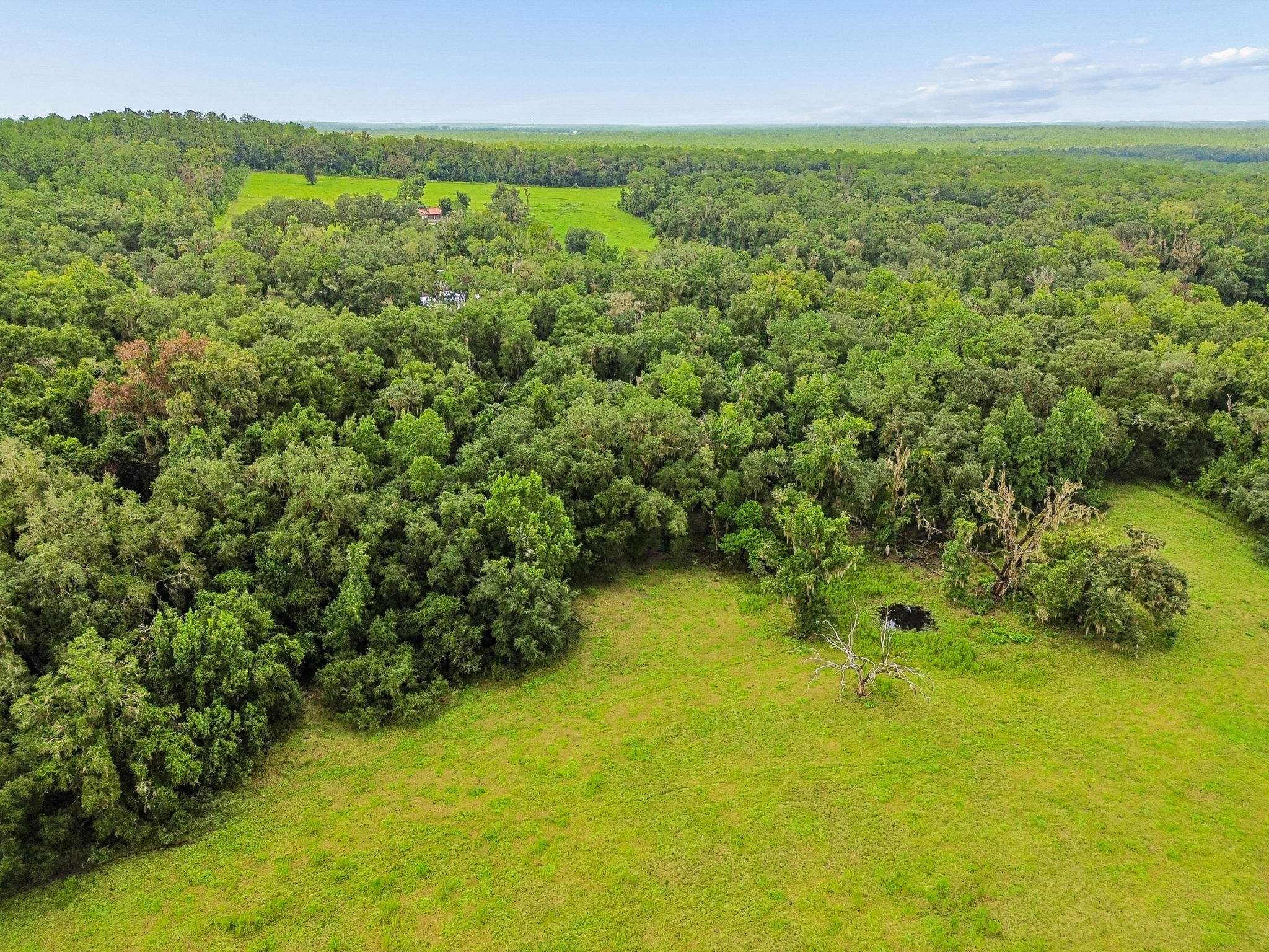 DJI_0334