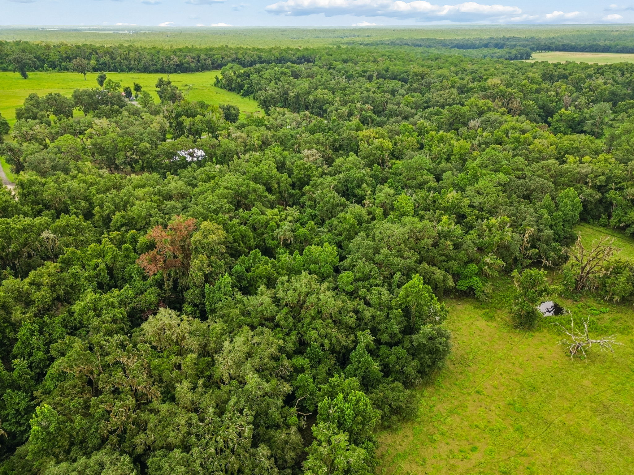 DJI_0337