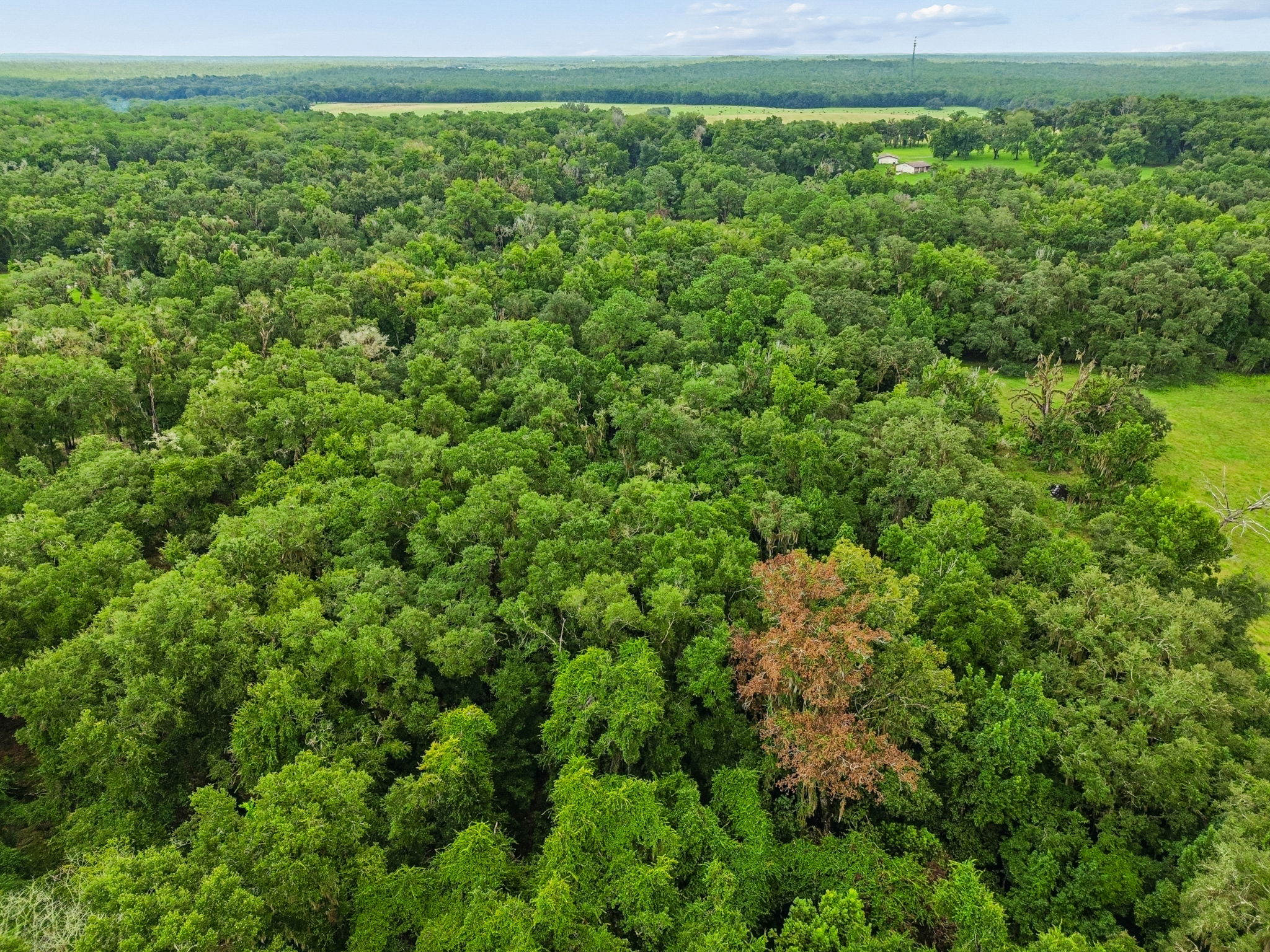 DJI_0343
