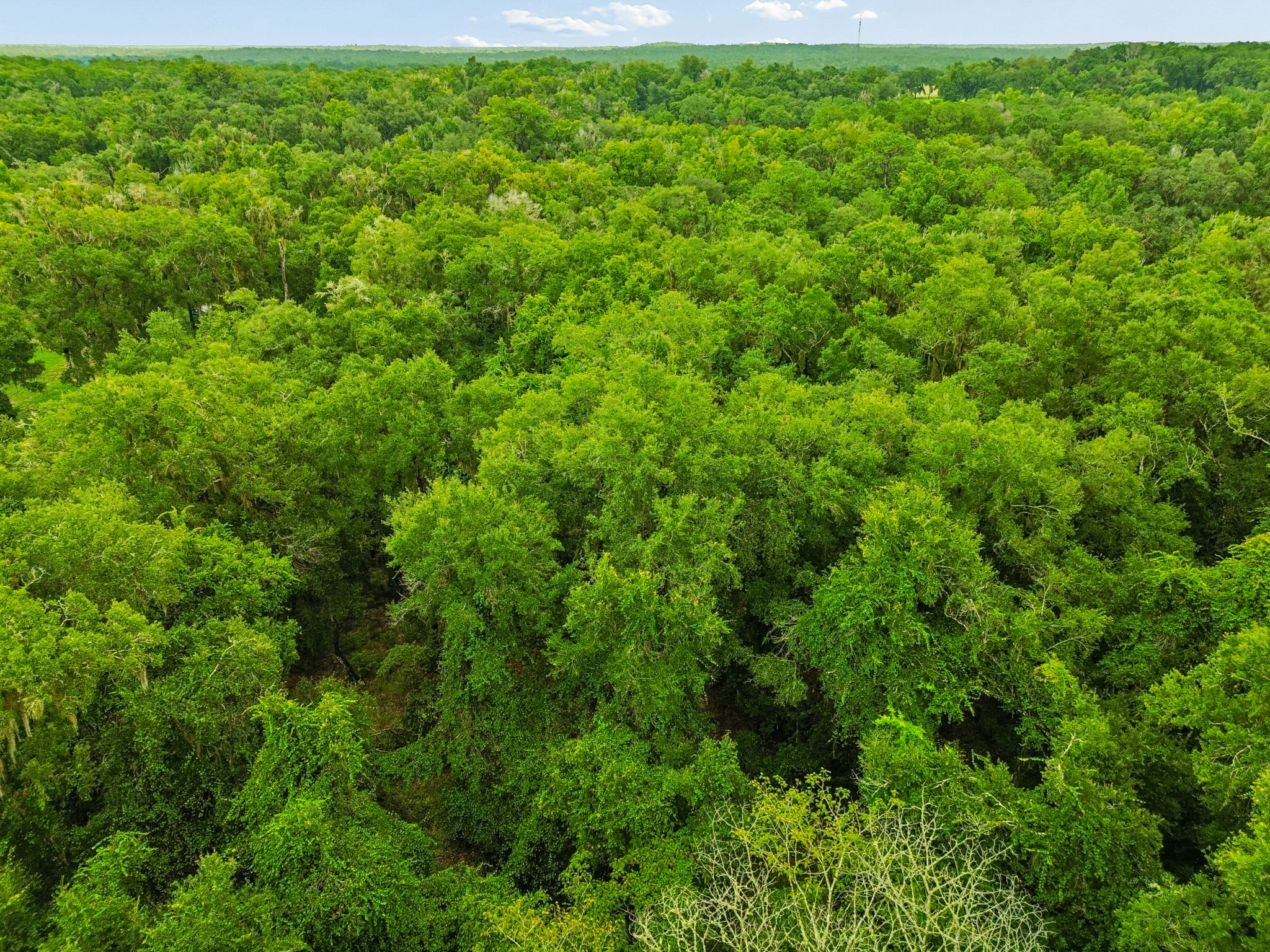 DJI_0349