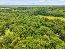 DJI_0259