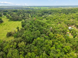 DJI_0313