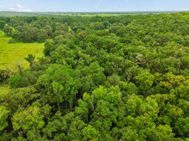 DJI_0322