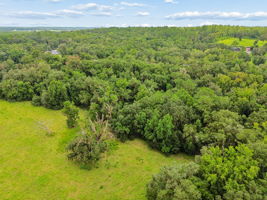 DJI_0328
