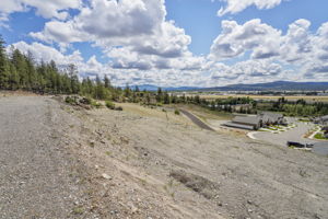 Central Lot - 5