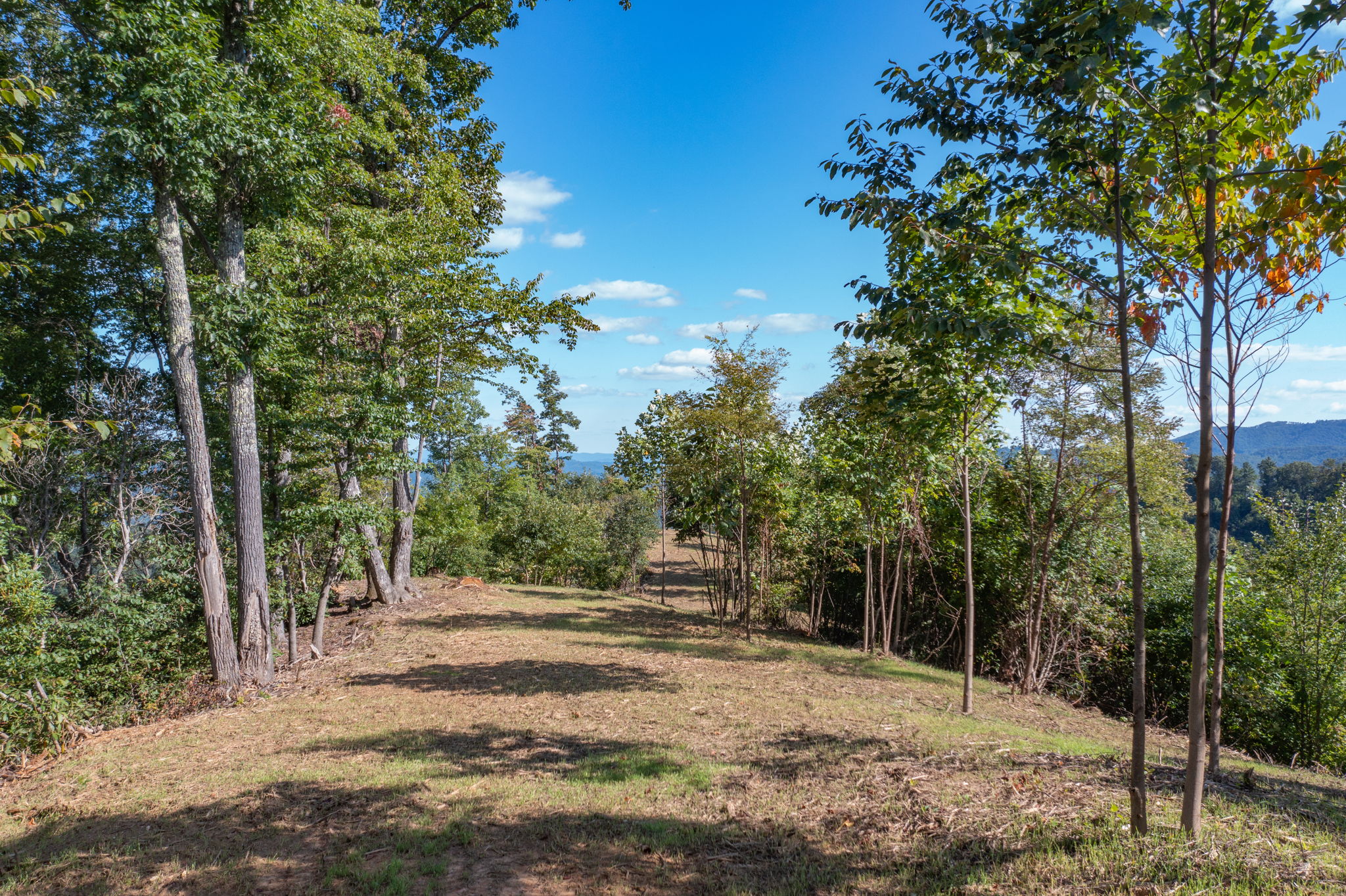 Elk Creek Rd, North Carolina 28618, USA Photo 8