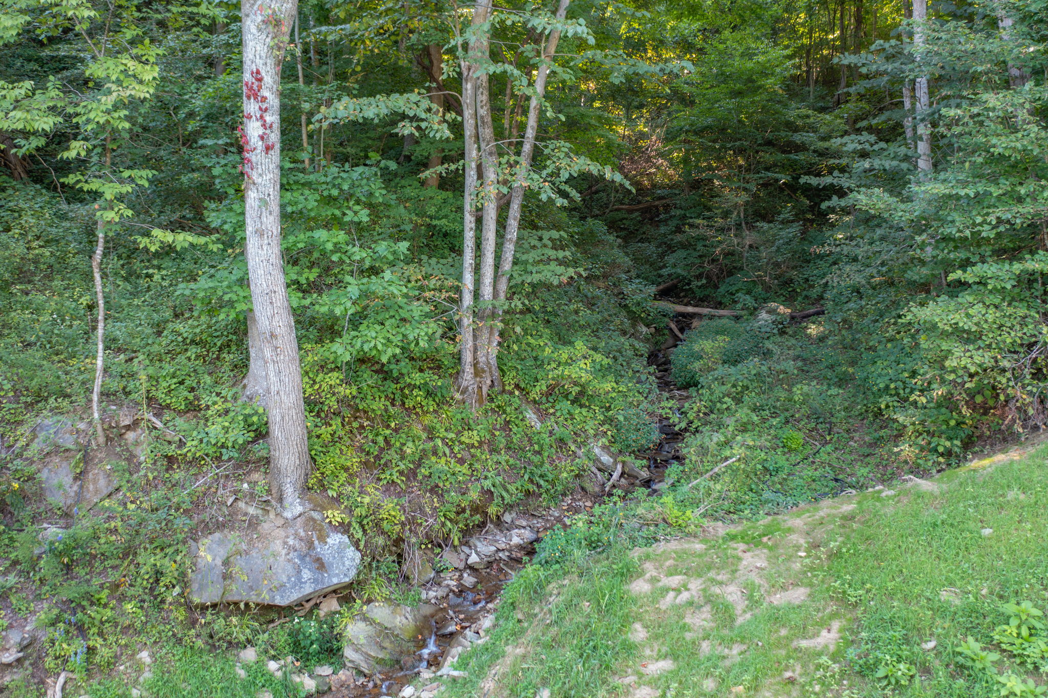 Elk Creek Rd, North Carolina 28618, USA Photo 2