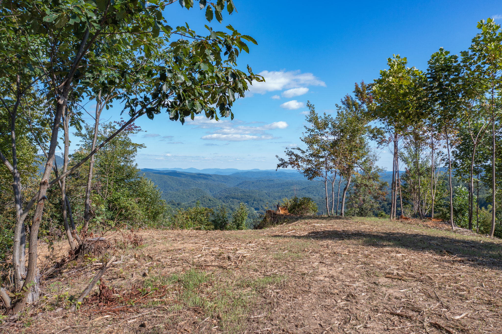 Elk Creek Rd, North Carolina 28618, USA Photo 1