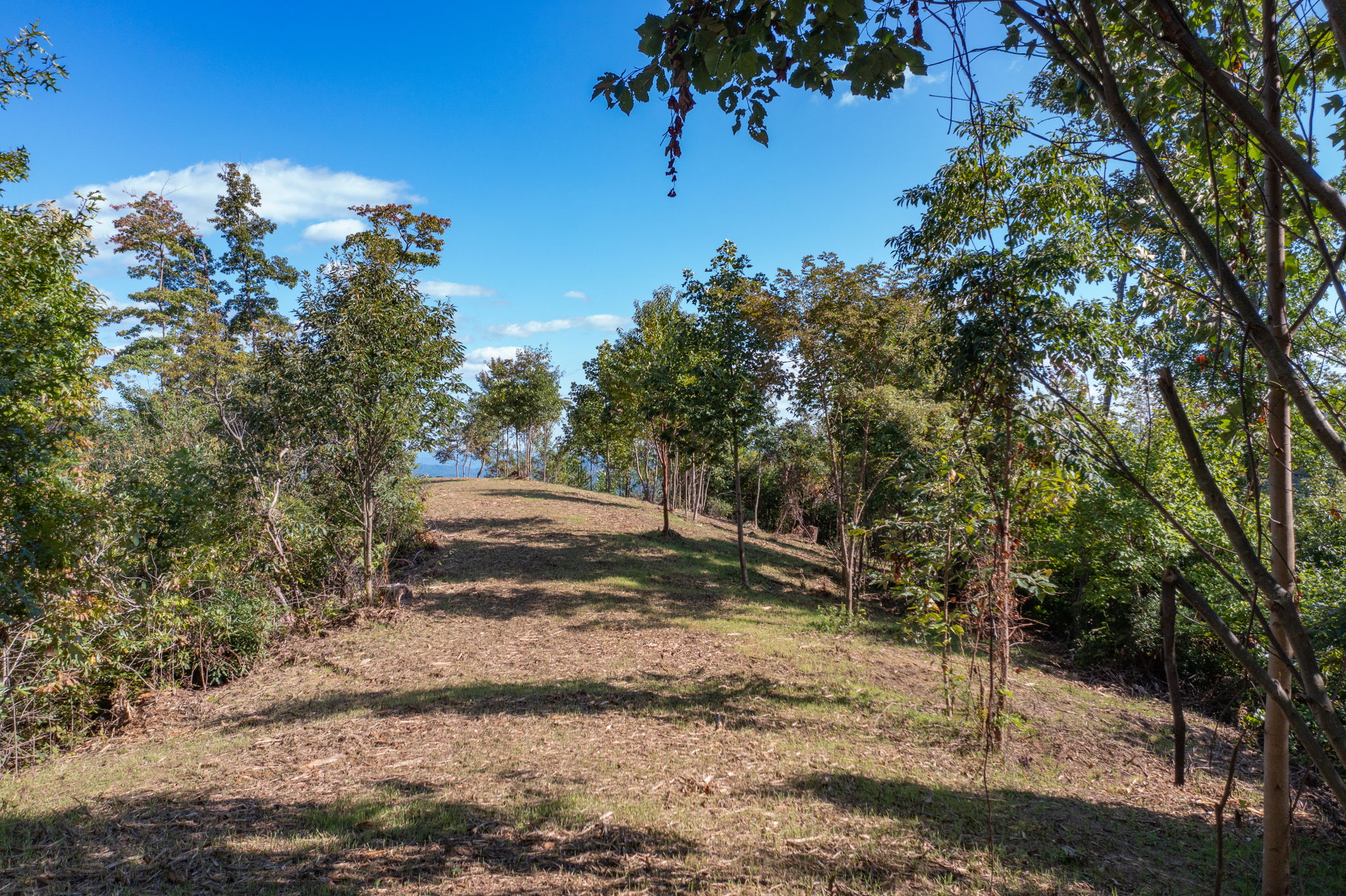 Elk Creek Rd, North Carolina 28618, USA Photo 10