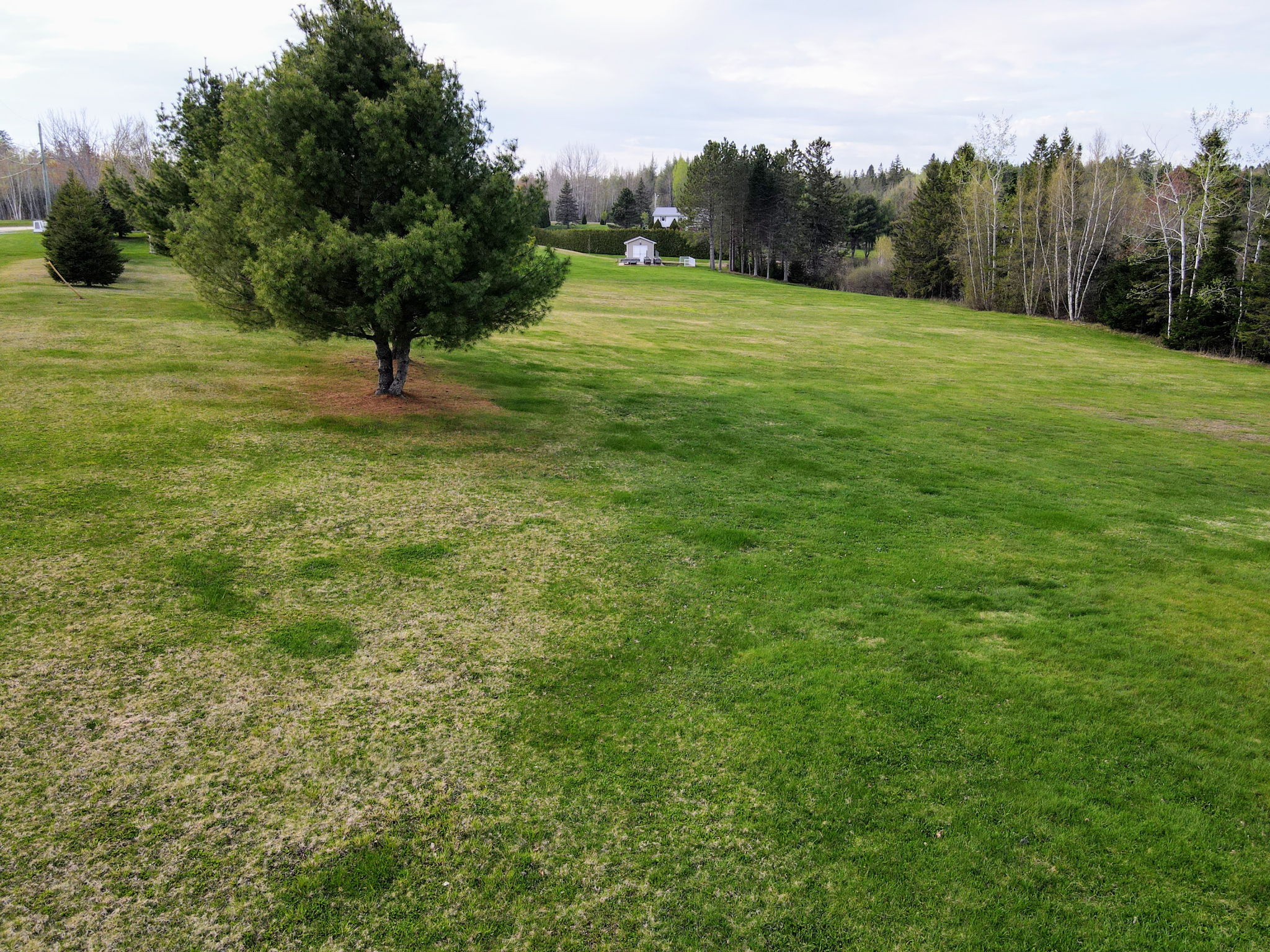  Photo 41