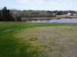  Photo 39