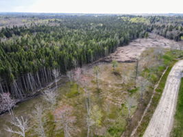  Photo 42