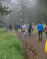  Photo 34