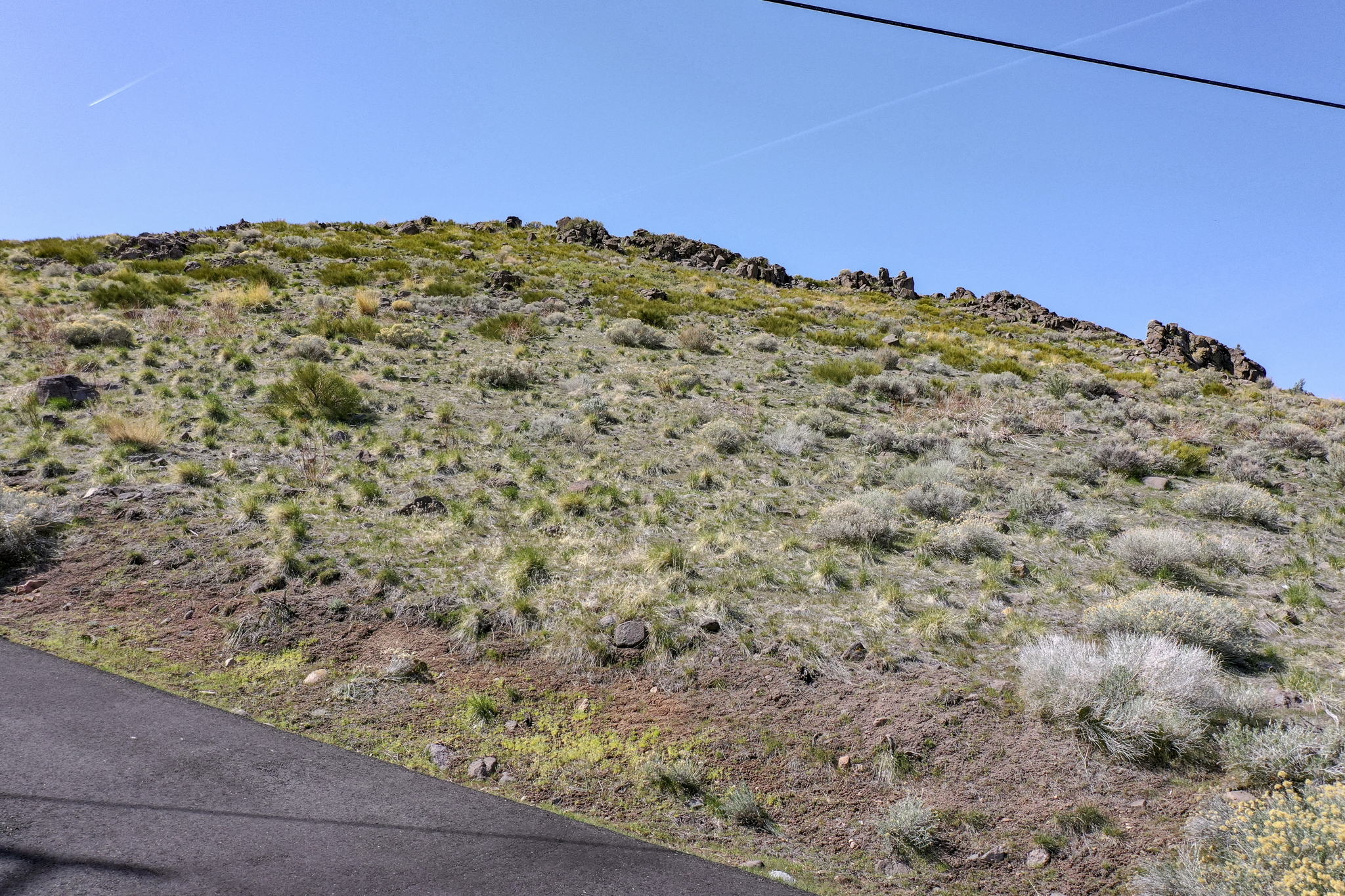 Faretto Ln, Reno, NV 89511, USA Photo 1