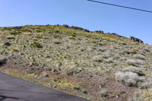 Faretto Ln, Reno, NV 89511, USA Photo 0