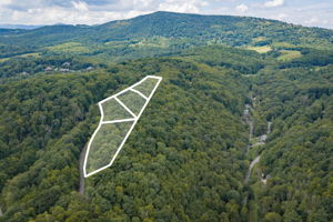  Photo 0