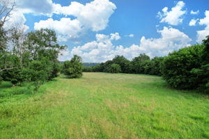  Photo 0