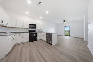 1 - living room 1