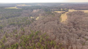 Image-16