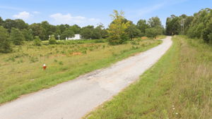 Image-6