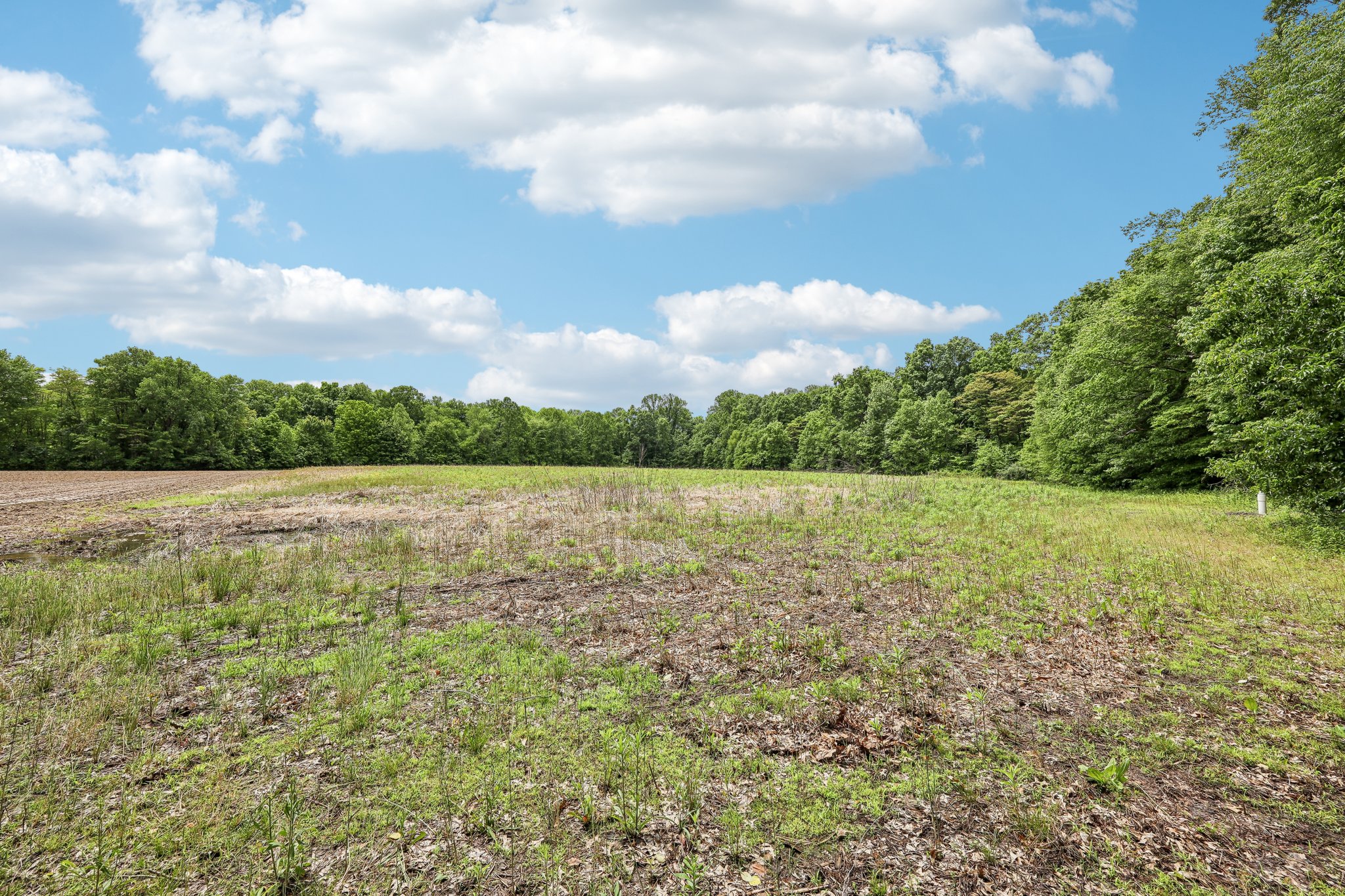 George Clem Rd-2305-004.jpg