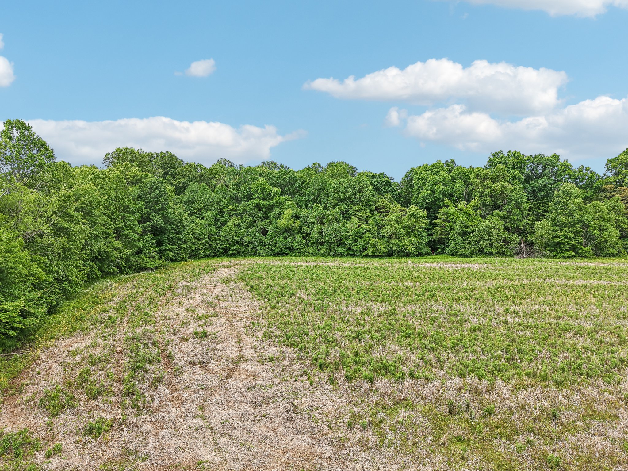 George Clem Rd-2305-006.jpg